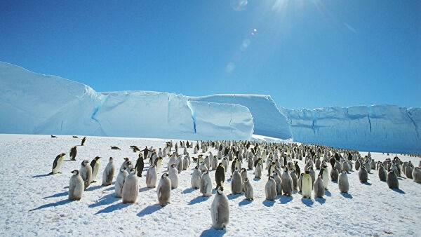 <br />
Метеоролог рассказал об изменении температуры в Антарктиде<br />
